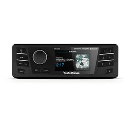 ROCKFORD FOSGATE STEREO HEAD UNIT 98-13 HARLEY BAGGERS - The Speed Shop Canada