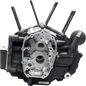S&S CYCLE CRANKCASE ASSEMBLY MK-SERIES BLACK HARLEY M8 SOFTAIL 18-25 - The Speed Shop Canada