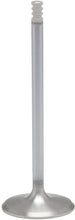 Load image into Gallery viewer, White Diamond Exhaust Valve M8 1.284 Os