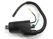 Load image into Gallery viewer, Atv Ignition Coil