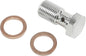 Banjo Bolt Chrome 7/16 24