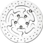 Oe Rear Rotor 11.8 Polished