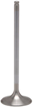 Load image into Gallery viewer, White Diamond Intake Valve