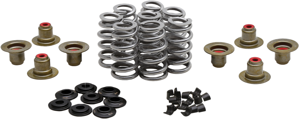 Beehive Valve Spring Kit .640 Lift  M8`17 24 Non Vvt