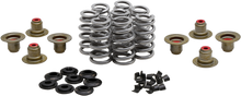 Load image into Gallery viewer, Beehive Valve Spring Kit .640 Lift  M8`17 24 Non Vvt