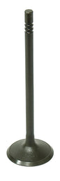 Intake Valve