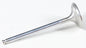 White Diamond Intake Valve