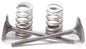 Intake Valve Conversion Set Ti Steel Kaw/Suz