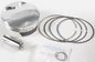 Piston Kit Armrgld Strutt Frg 78.00/Std 13.8:1