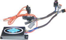 Load image into Gallery viewer, aee2-600602e80c68b.jpeg