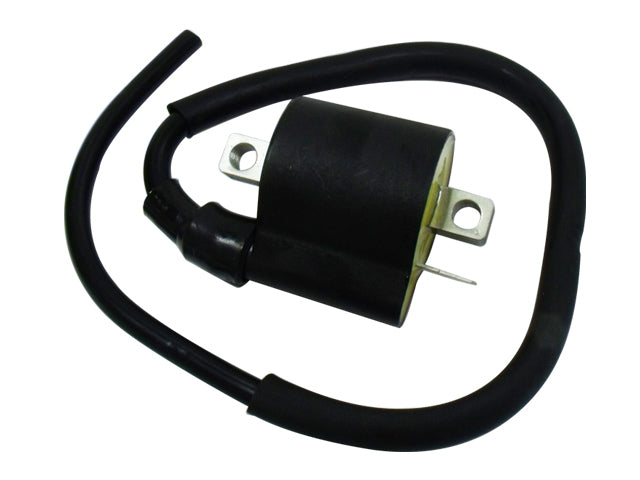 Atv Ignition Coil