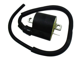 Atv Ignition Coil