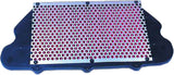 Hiflofiltro Air Filter 551-1910