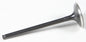 Black Diamond Intake Valve
