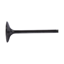 Load image into Gallery viewer, Intake Valve Titanium