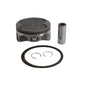 Piston Kit Cast 98.95/Std 10.2:1 Pol