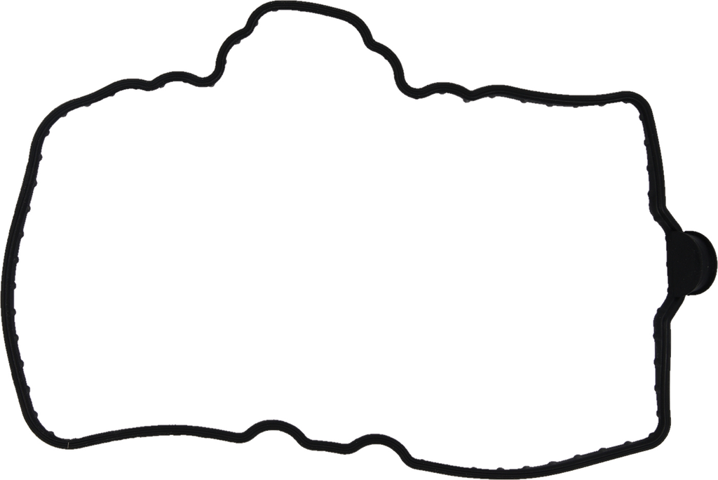 Valve Cover Gasket Pol