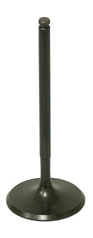 Intake Valve