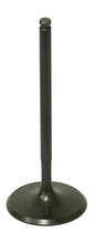 Intake Valve