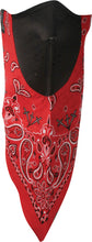 Load image into Gallery viewer, Neodanna Red Paisley
