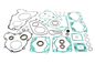 Complete Gasket Set With Oil Seals