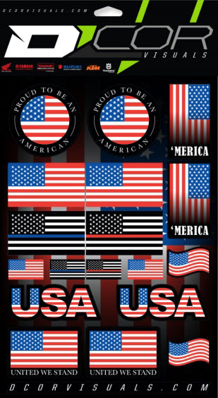Usa Sticker Sheet