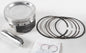 Piston Kit Armorglide 80.00/Std 12:1 Pol