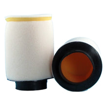 Load image into Gallery viewer, Premium Air Filter Hon Atc 250r/Sx Trx250