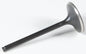 Black Diamond Intake Valve