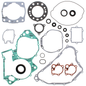Complete Gasket Set With Oil Seals
