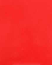 Load image into Gallery viewer, Baja Cage W/No Intrusion Red