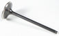 Black Diamond Intake Valve