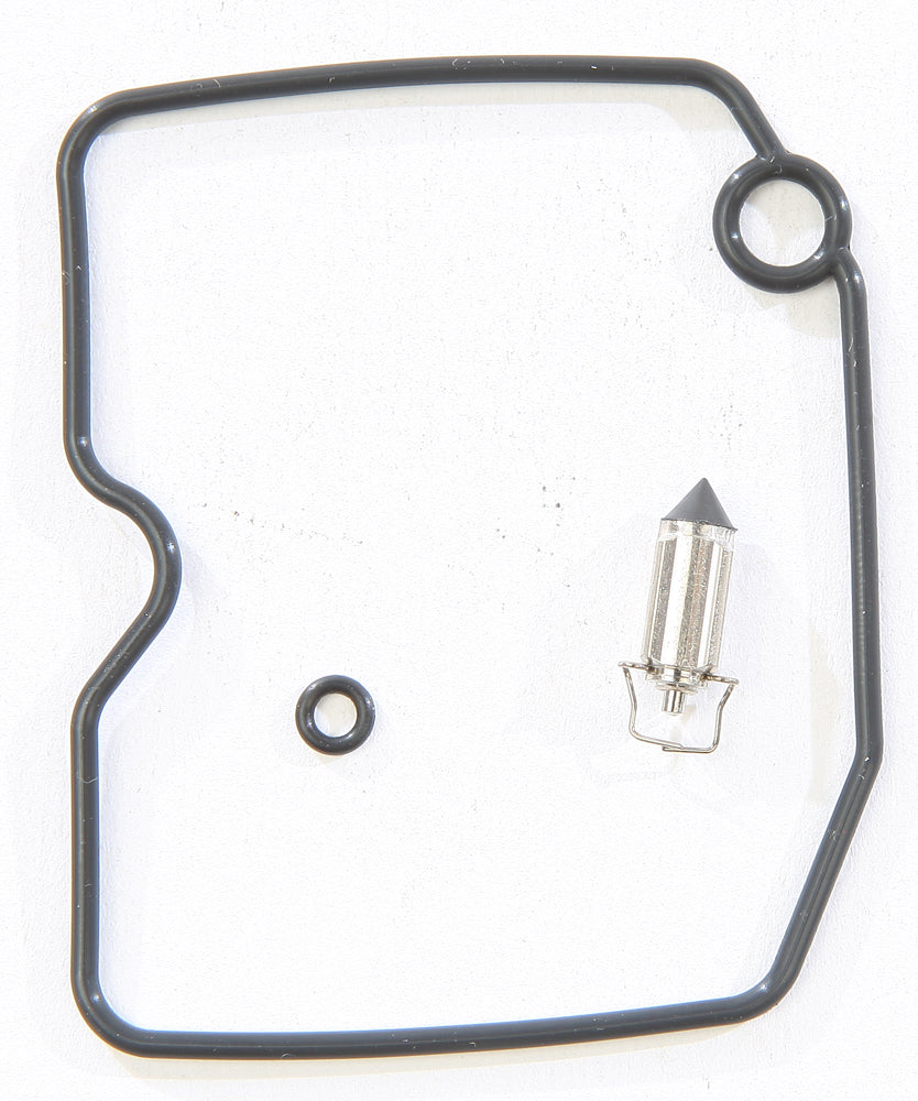 Carburetor Repair Kit