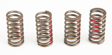 Load image into Gallery viewer, Clutch Springs