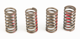 Pro Circuit Clutch Springs 793-6025