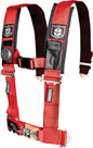 4pt Harness 2