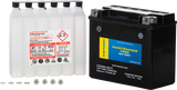 Fire Power Battery Ctx20hl-Bs-Ft Maintenance Free 49-3035