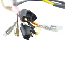 Load image into Gallery viewer, Stator+Flywheel Pol