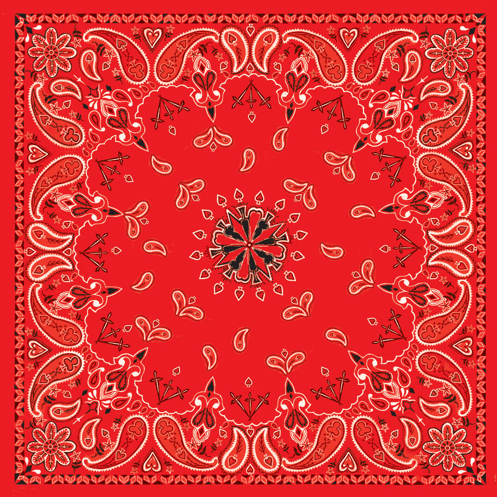 Bandanna Red Paisley