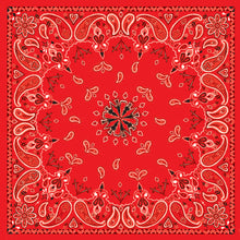 Load image into Gallery viewer, Bandanna Red Paisley