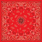 Bandanna Red Paisley
