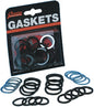 Gasket Oring Pushrod All Evo Kit 11133 V2