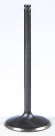 Black Diamond Intake Valve