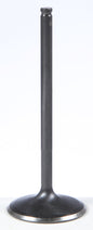 Black Diamond Intake Valve