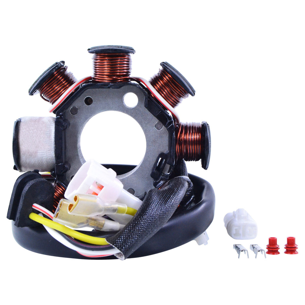 100w Ac To DC Conversion Kit Stator+Regulator
