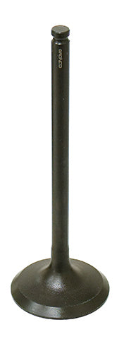 Exhaust Valve