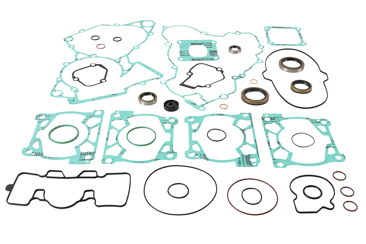 Complete Gasket Set With Oil Seals