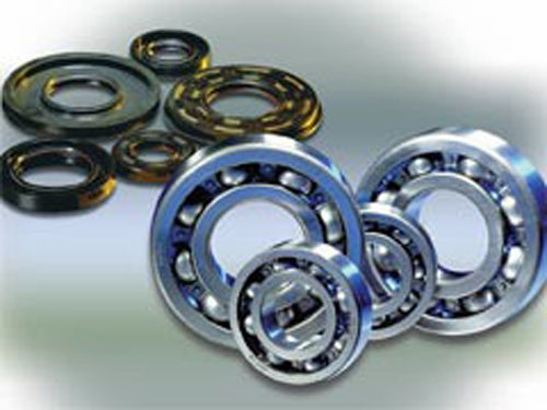Crankshaft Bearing Suz/Yam