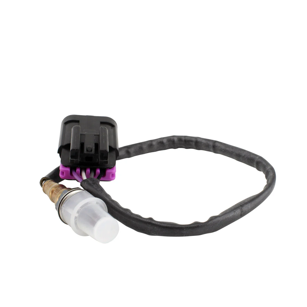 Oxygen Sensor Pol