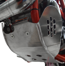 Load image into Gallery viewer, Skidplate Beta
